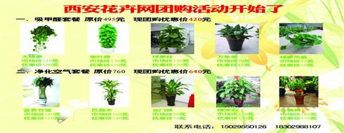 西安花卉网团购活动开始了