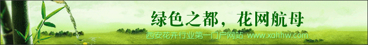 广东连州：赏花游需要拓展二次消费