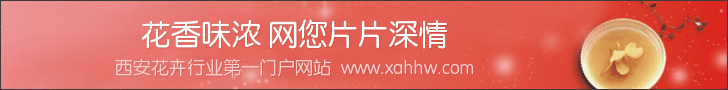 深圳：现耐热型菊花新品种